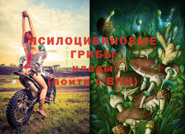 кокаин Алексеевка