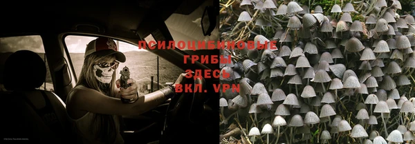 мдпв Абаза