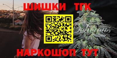 соль ск Славгород