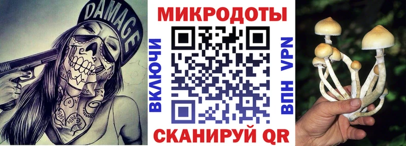 Галлюциногенные грибы мицелий  Карабулак 