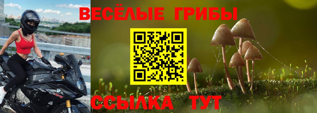 Псилоцибиновые грибы мицелий  Вход с VPN  Галлюциногенные грибы прущие грибы  Карабулак 